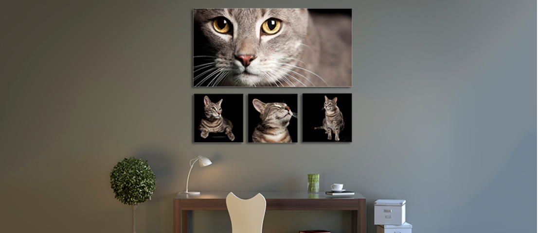 Wallart of cat