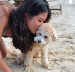 Brenda and Noodles by the beach